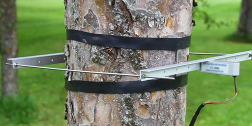 neon monkey can monitor the growth of your tree