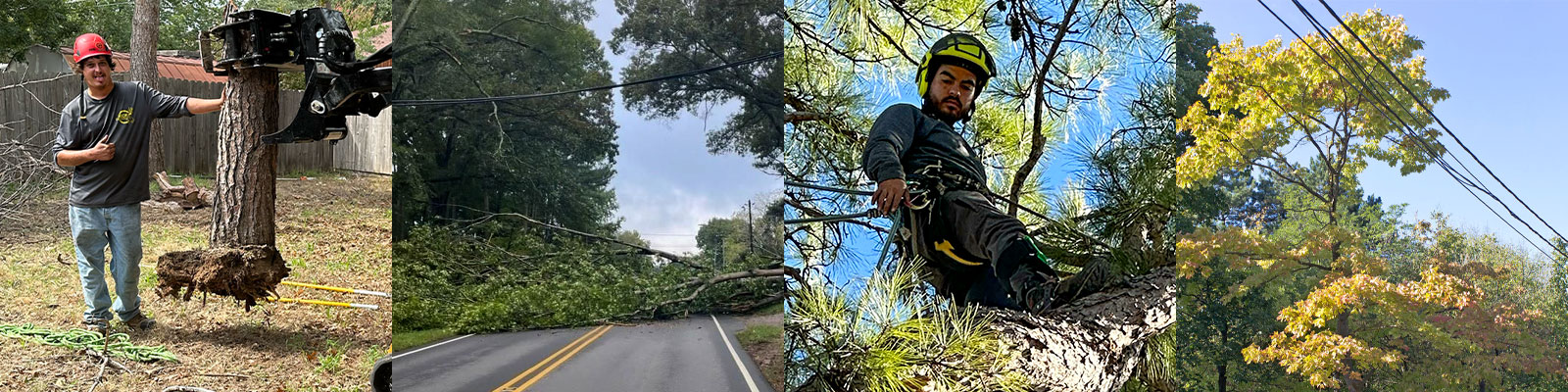 Tree removal services using crane and safety equipment