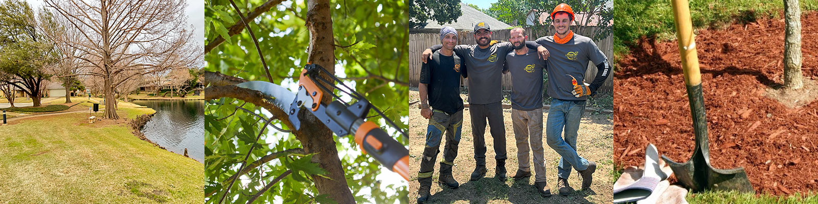 Tree planting and maintenance services in Fort Worth