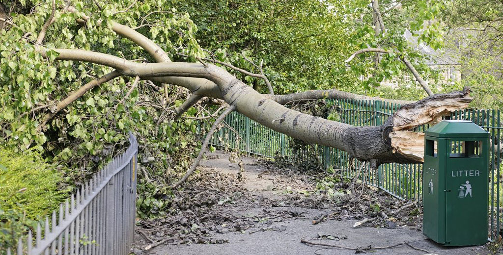 hazard mitigation