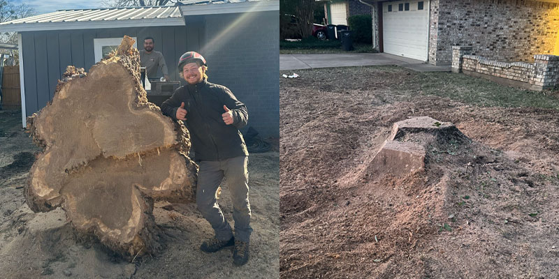 stump removal