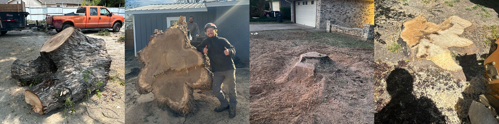 stump removal