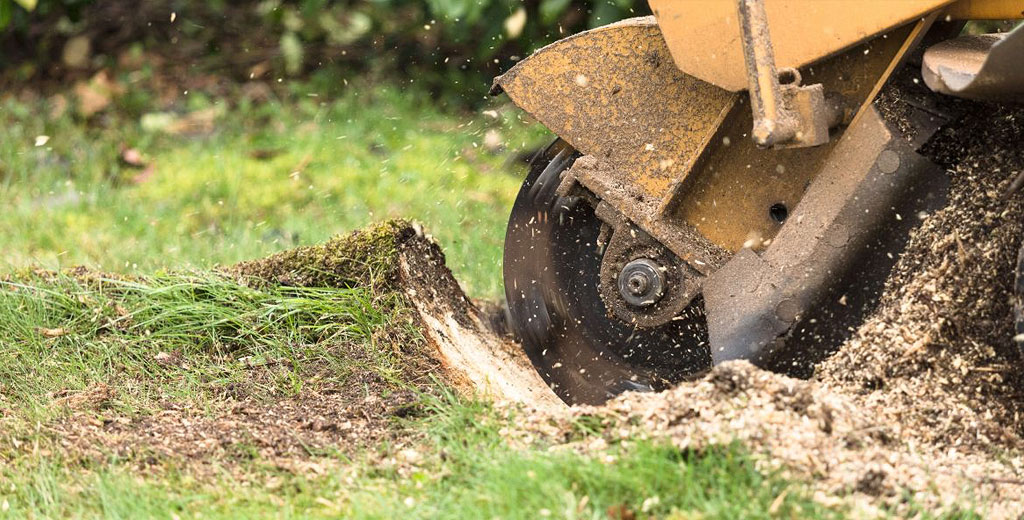 stump grinding
